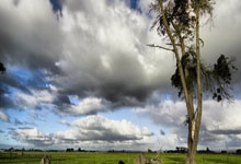 熊猫tv:伊藤敦樹即將開啟海外追夢之旅 或加盟比甲亨克.