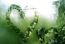 2023女足世界杯小組賽美國1-1荷蘭 蘿爾德貼地破門霍蘭頭槌扳平 美國逼平荷蘭!.