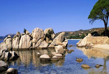 人力摩天轮你敢玩吗?网友:寿命急速燃烧.